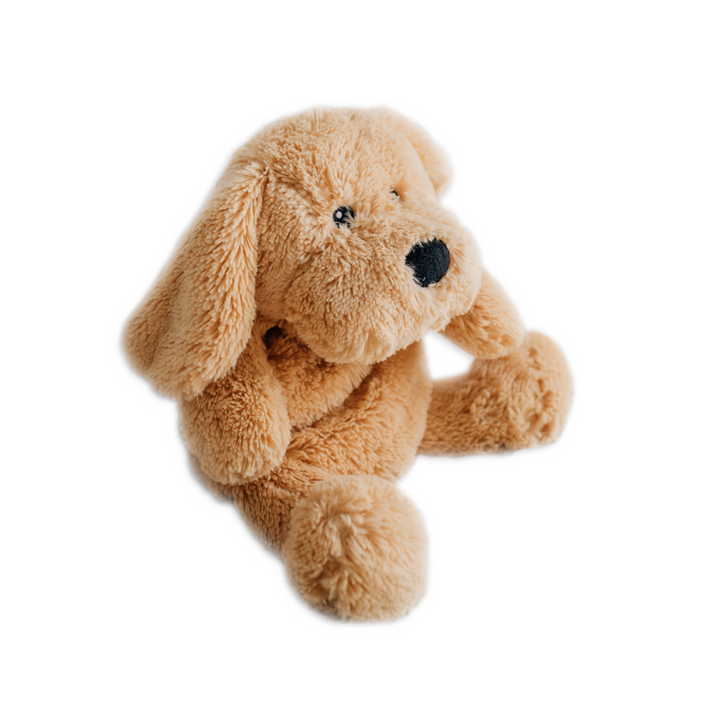 Charlie - The weighted puppy dog