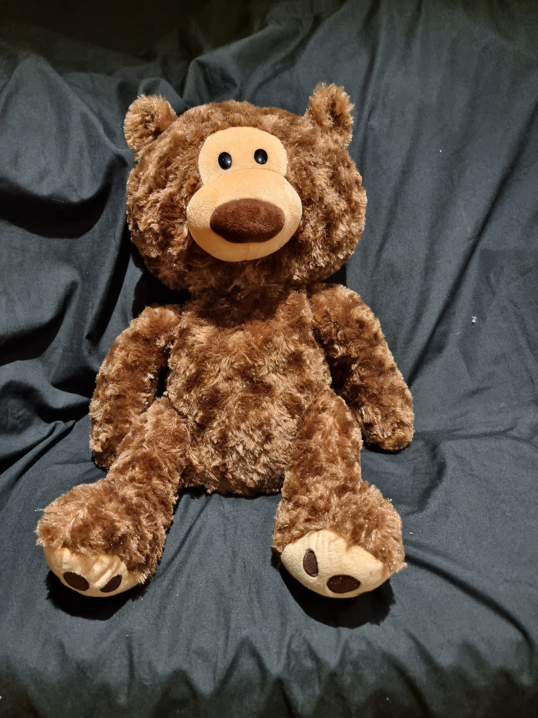 Buttons The Weighted Teddy Bear