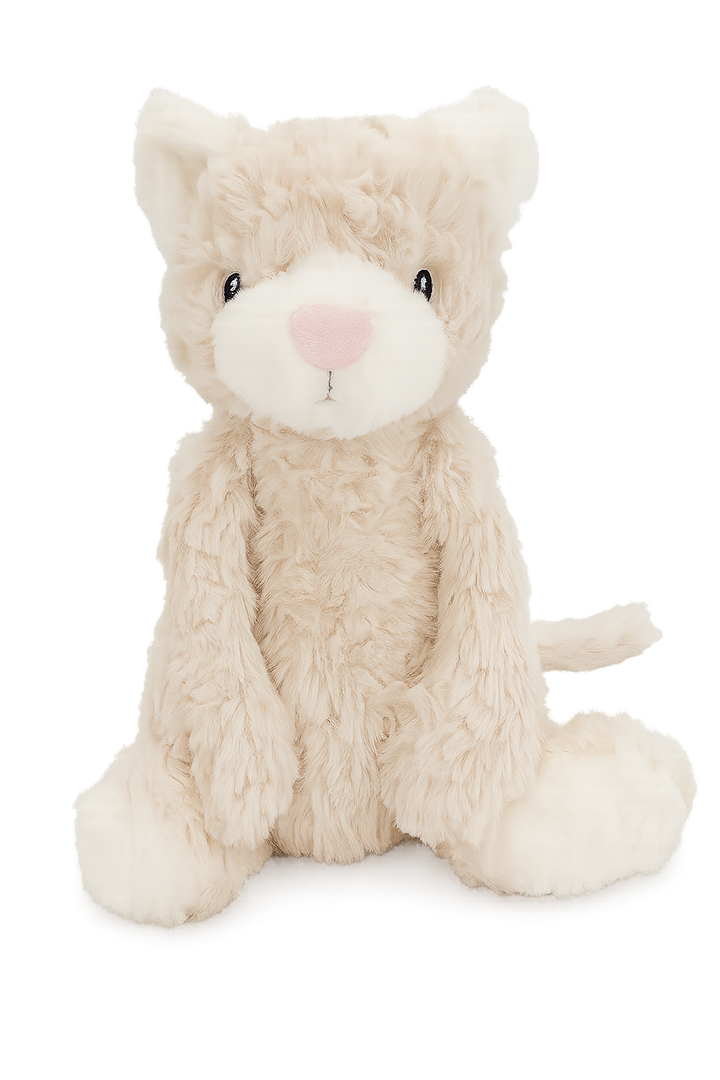 Pickles the Weighted Cat