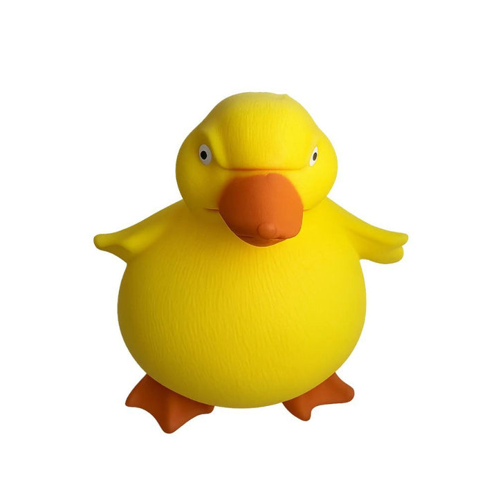 Stretch 'N Smash Grumpy Duck