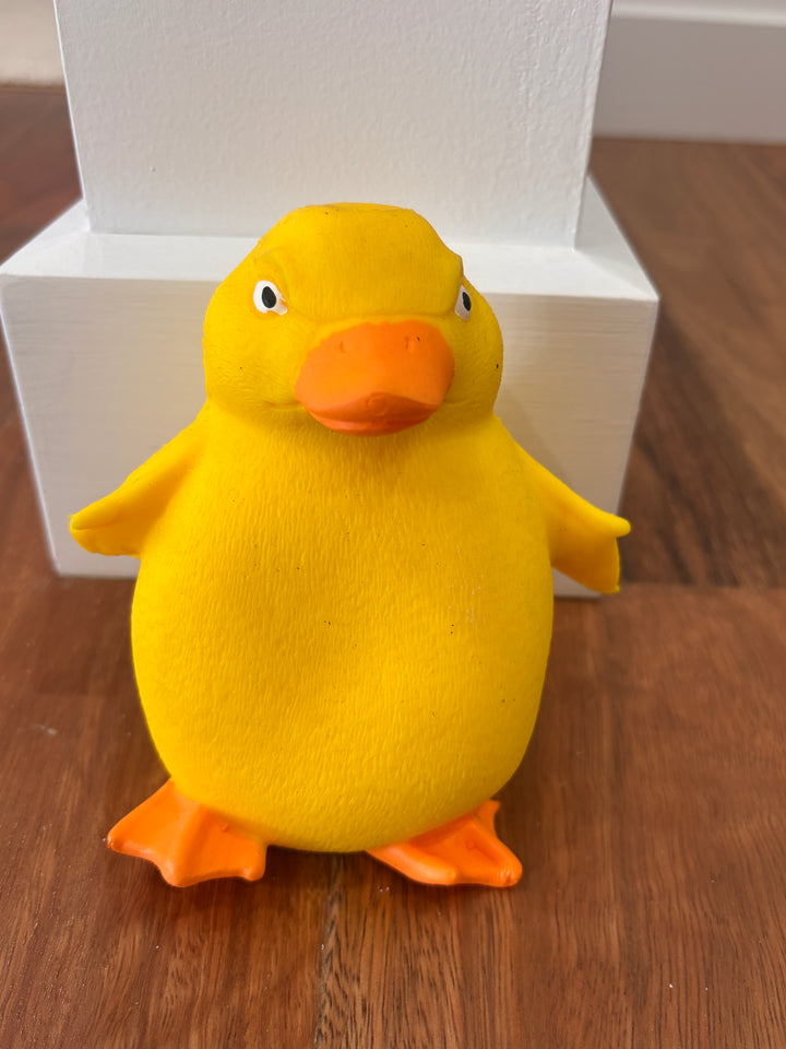 Stretch 'N Smash Grumpy Duck