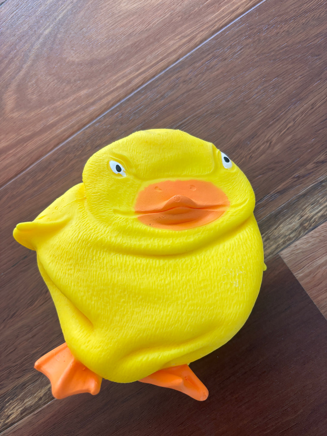Stretch 'N Smash Grumpy Duck