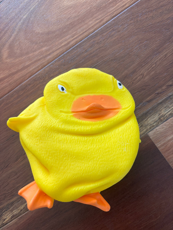 Stretch 'N Smash Grumpy Duck