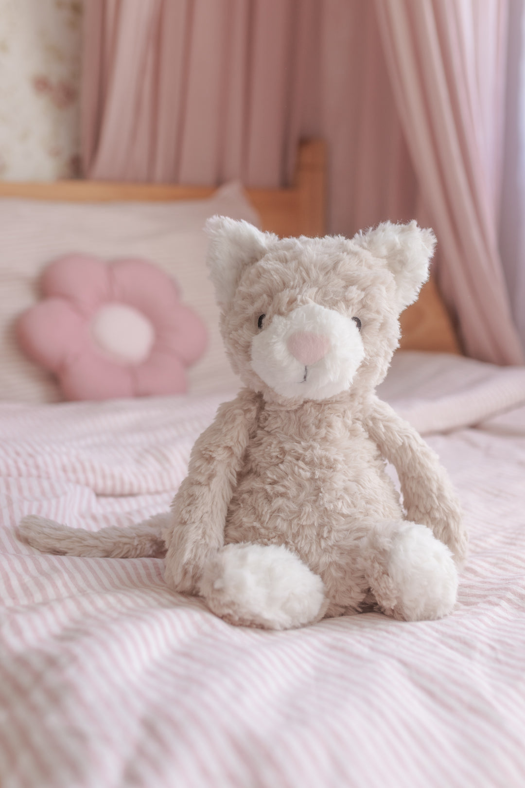 Pickles the Weighted Cat