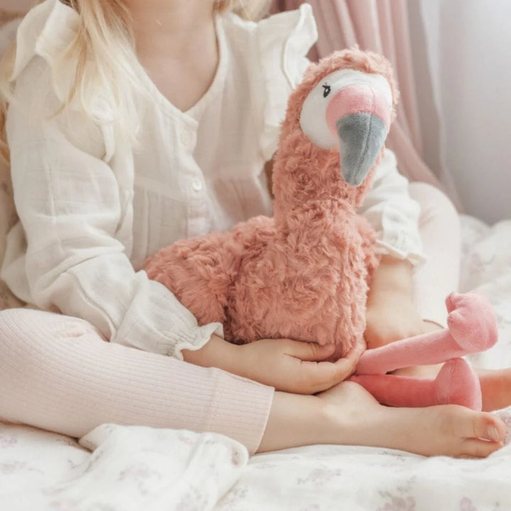 Francesca The Weighted Flamingo