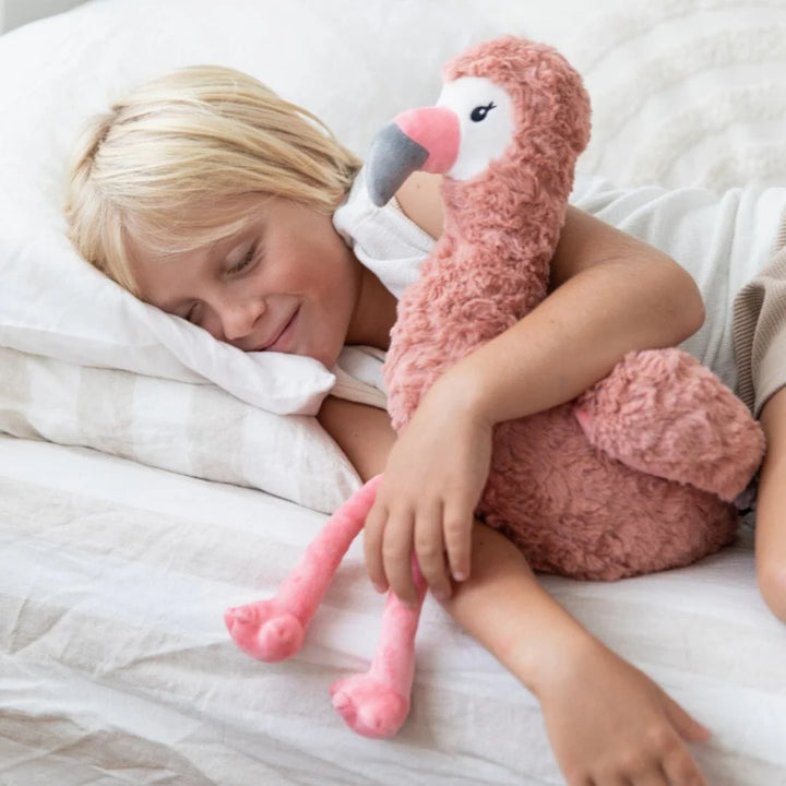Francesca The Weighted Flamingo