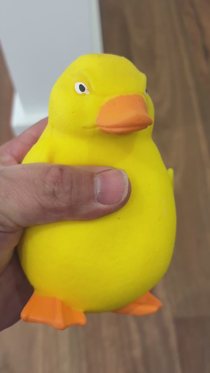 Stretch 'N Smash Grumpy Duck