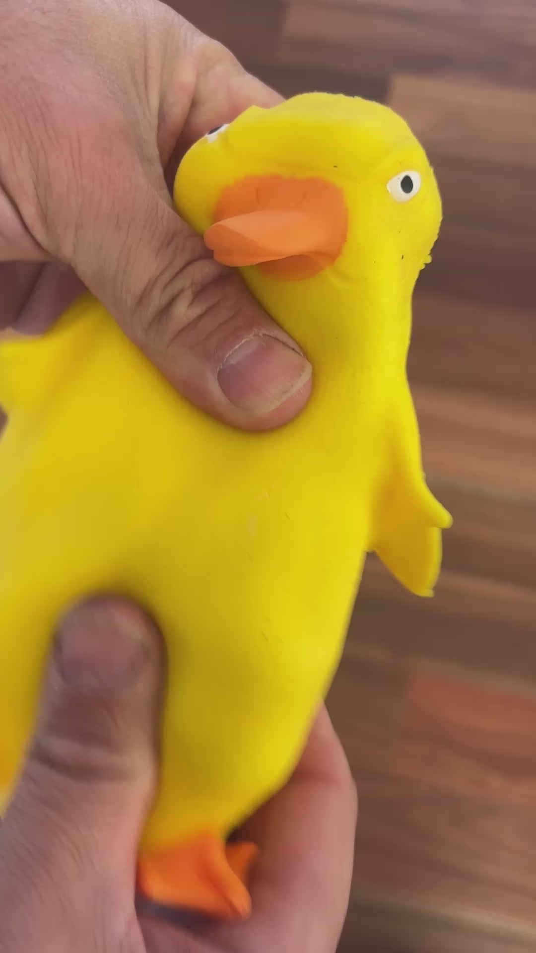 Stretch 'N Smash Grumpy Duck